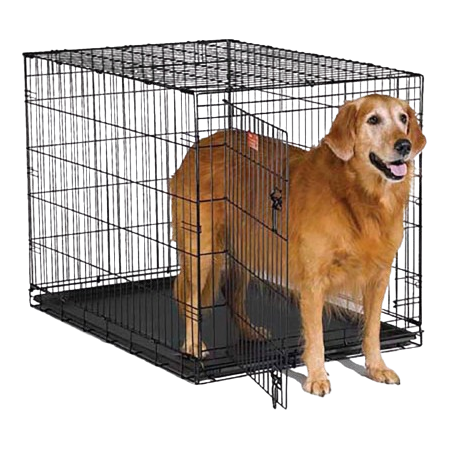 Cages professionnelles pour animaux de compagnie