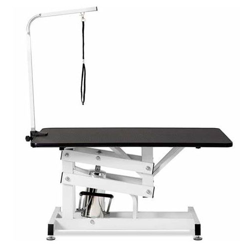 Table lumineuse pour instructeur de toilettage